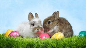 Praca laboratorium w Wielkanoc